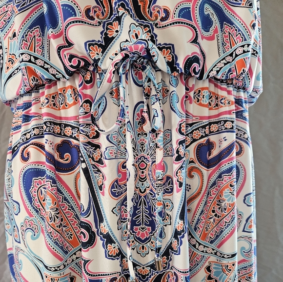 Ruby Rd. Cinched Sleeveless Paisley Dress - Picture 5 of 12